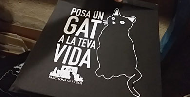 GAT I GOS - Bolsa Negra