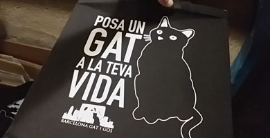 GAT I GOS - Bolsas