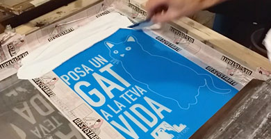 GAT I GOS - Tinta Blanca