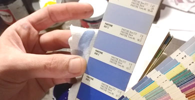 ANNASA-PANTONE-3