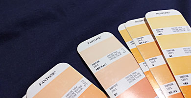 EL-MARAVILLAS-pantone