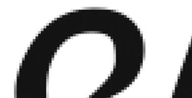 LA-IMAGEN-bitmap-ampliación