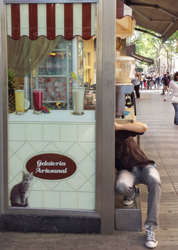 GELATERIA-ARTESANAL-Colocacion-Derecho-V