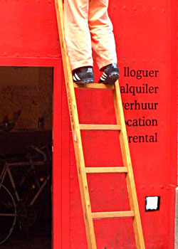 BICIQUADRA-Decoracion-V